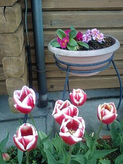 080322_1215~0002.jpg